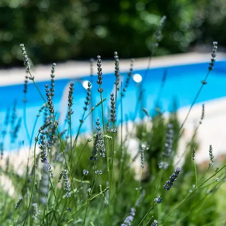 Holiday home Le Tre Brtonigla